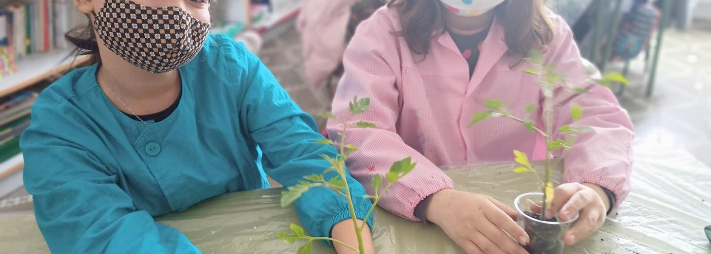 Col·legi la Presentació Alcoi