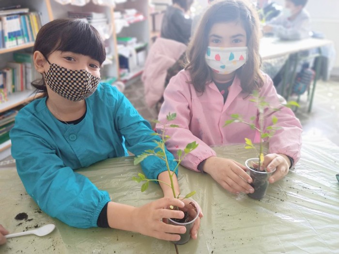 Projectes de l'alumnat de 4t de Primària: Plantar una tomaquera