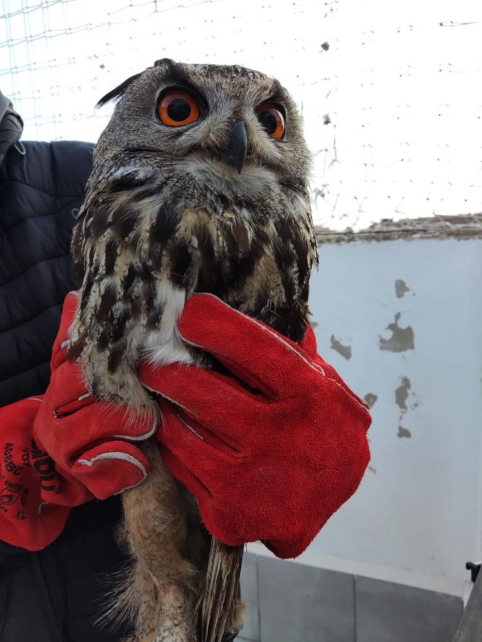 Col·legi la Presentació Alcoi