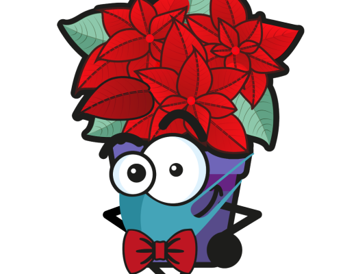 Flors de pasqua 2024