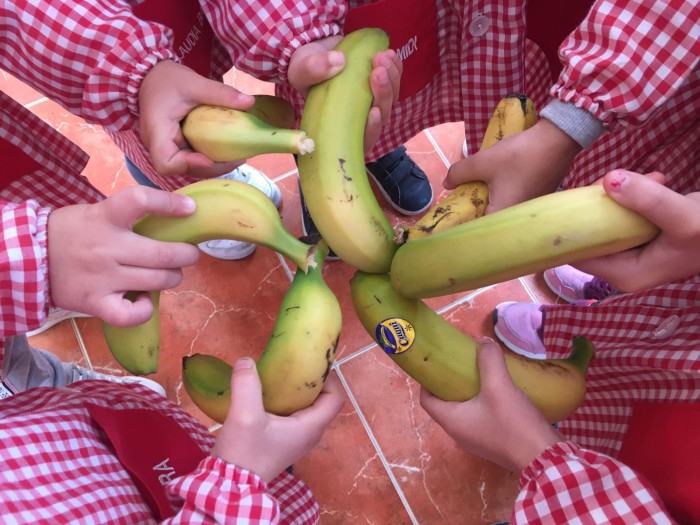 Col·legi la Presentació Alcoi