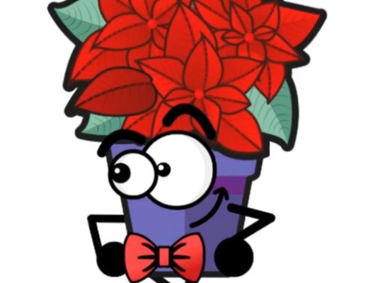 Darrer dia per a reservar la flor de pasqua