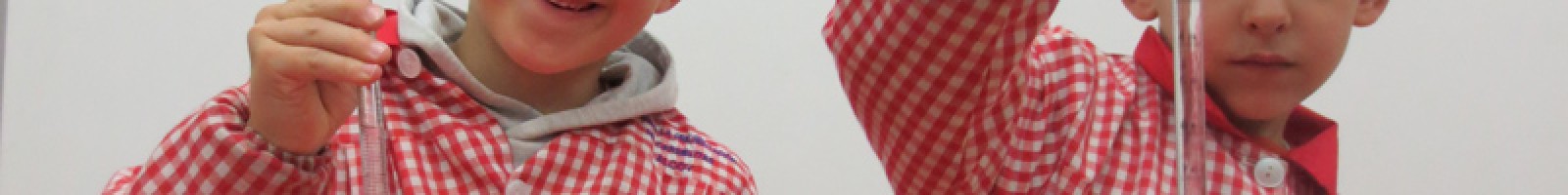 Treball per projectes